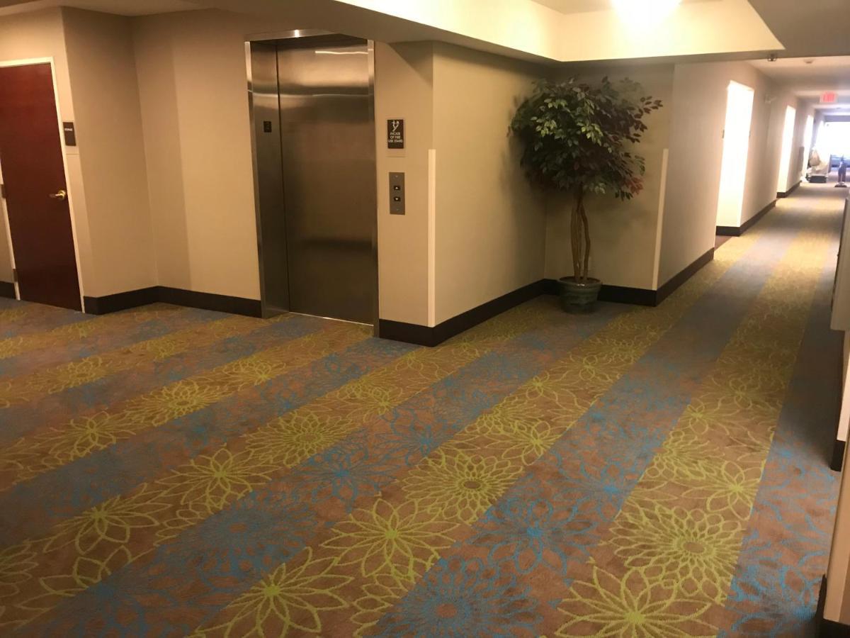 スリープ イン ローリー ダーラム エアポート エクステリア 写真